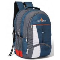 Laptop Backpack- 30 L (FIROZI_GREY) WHITEPATTI